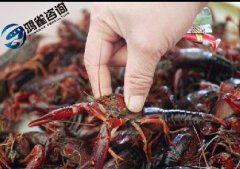 食品經(jīng)營許可證和食品流通許可證的關系必須要知道