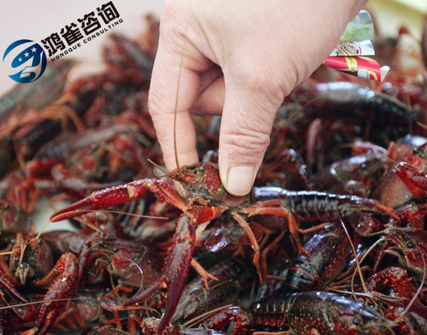 食品經營許可證和食品流通許可證